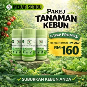PAKEJ TANAMAN KEBUN