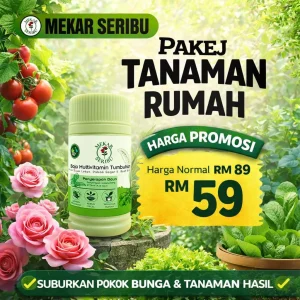 PAKEJ TANAMAN RUMAH